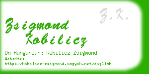 zsigmond kobilicz business card